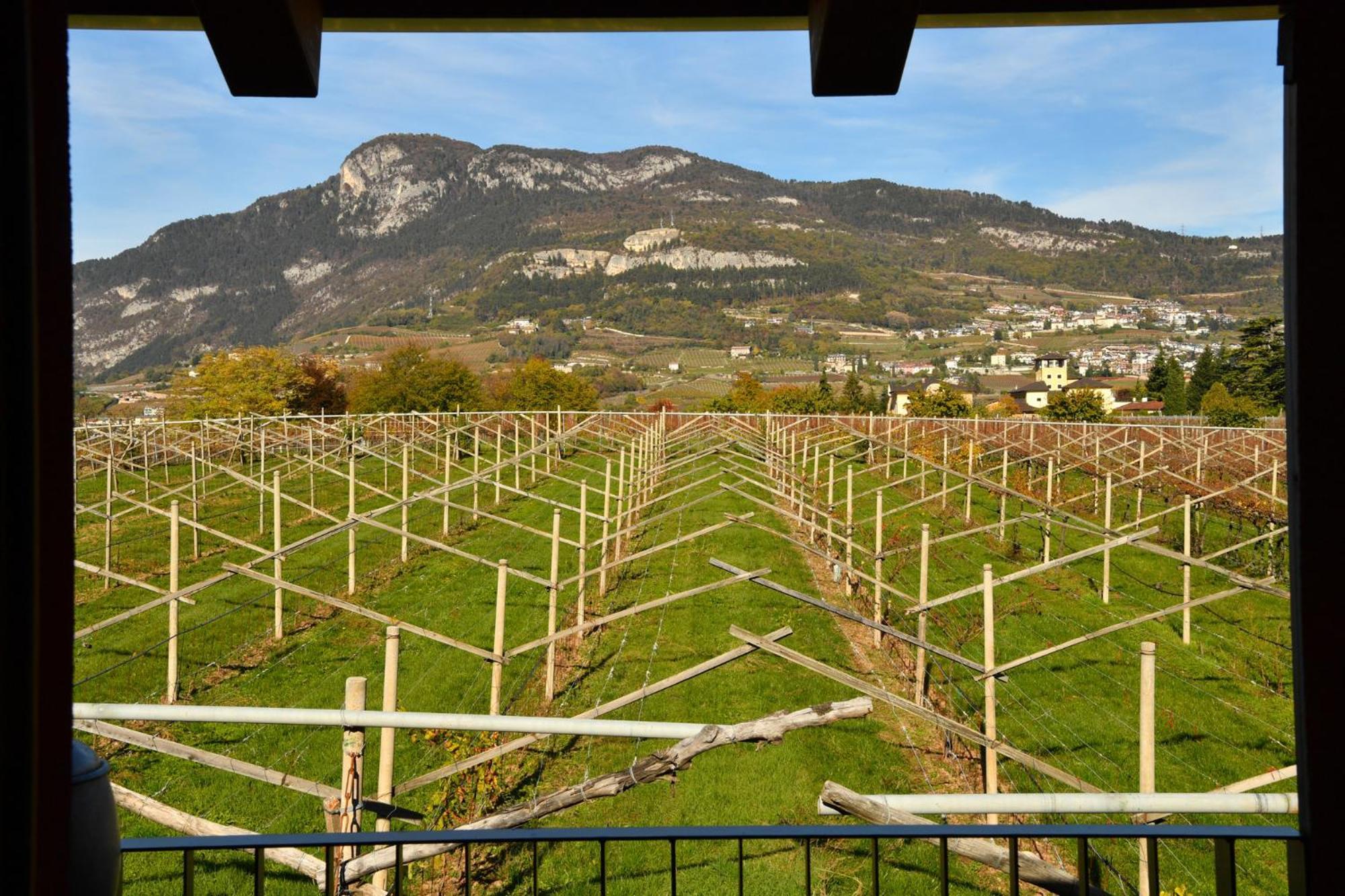 8 Grappoli Agritur Villa Trento Exteriör bild